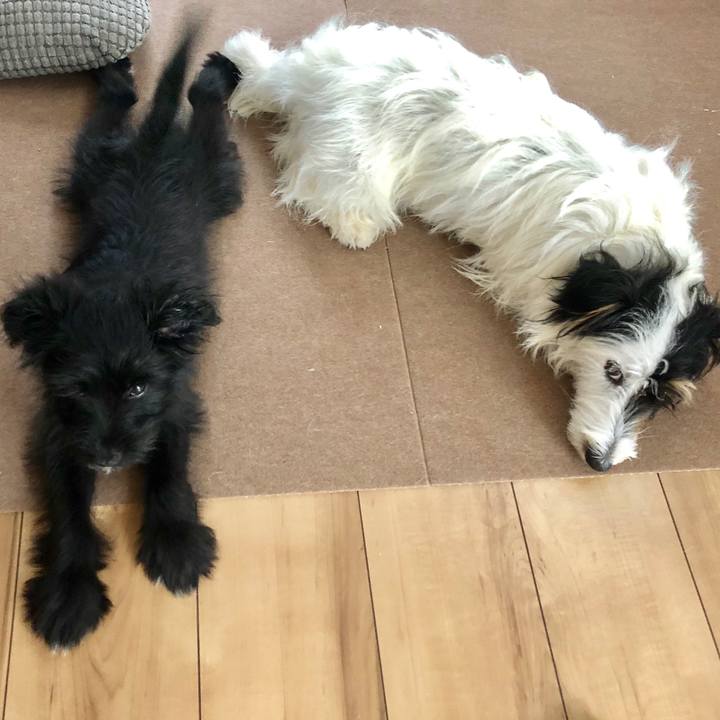 79608791 a5a9 43ad b9d7 cc574a3ec7d3 1530570184827