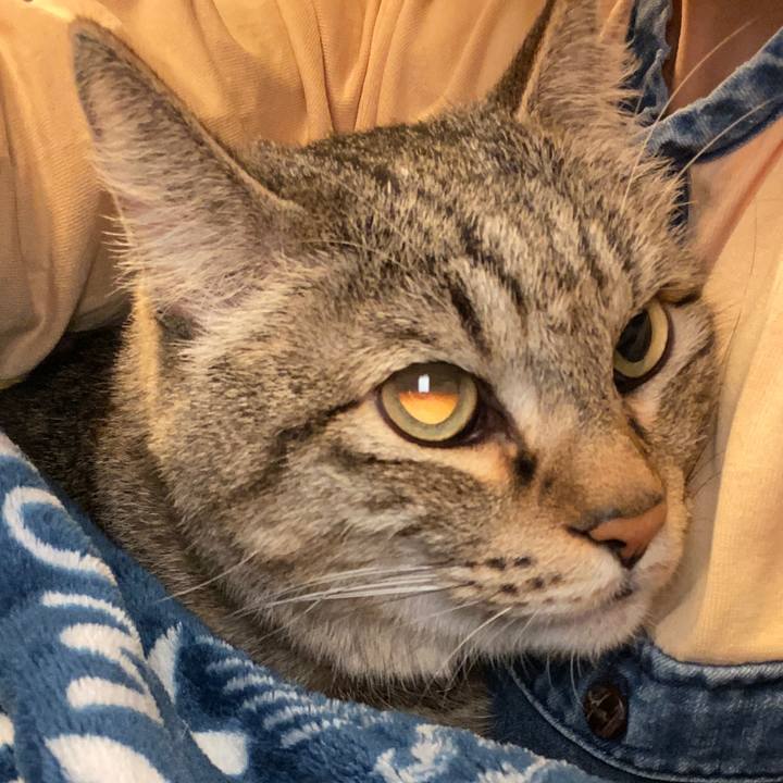 79609ca8 f714 4c91 a983 9d54e280b2aa 1576372342339