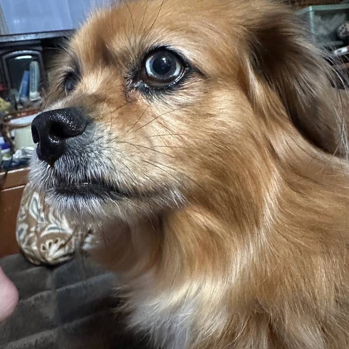 7960a0b3 733b 4801 bf09 70f8abb520dc 1732483715972