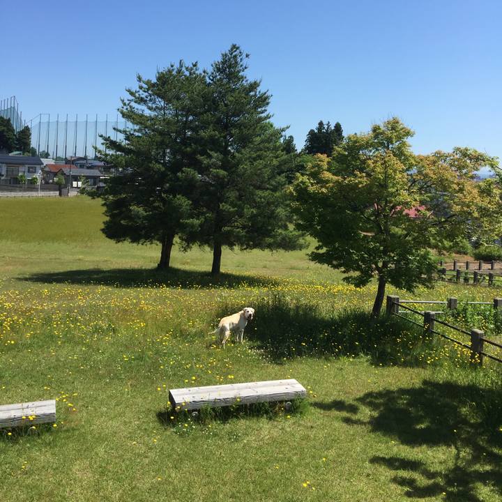 7960ab09 d286 439c 97c2 8a7497cddc47 1561201952864