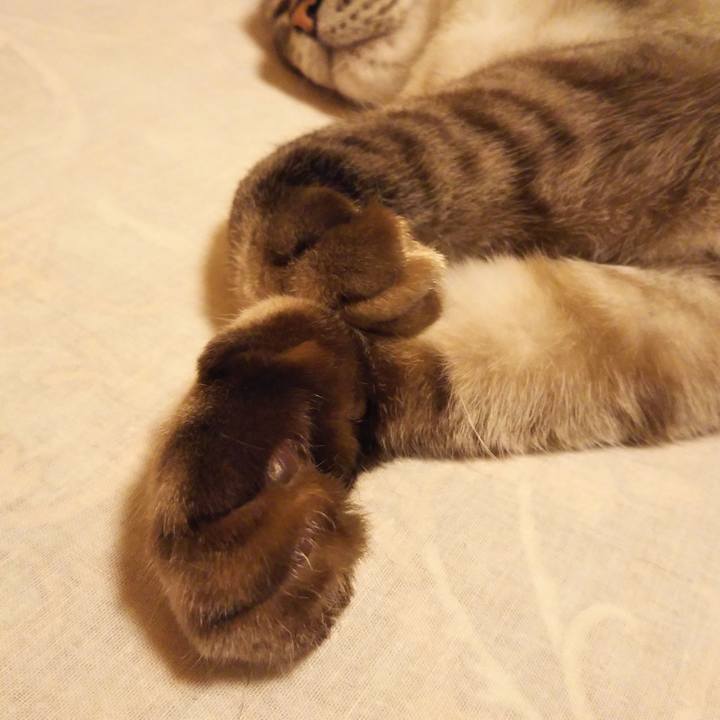 7960c0f2 26e1 4f96 a76f b2c2555fab6c 1535379344285