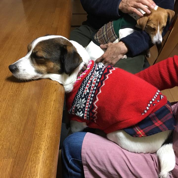 7960d83d 6623 4086 955c 5e26e21397aa 1511258096839