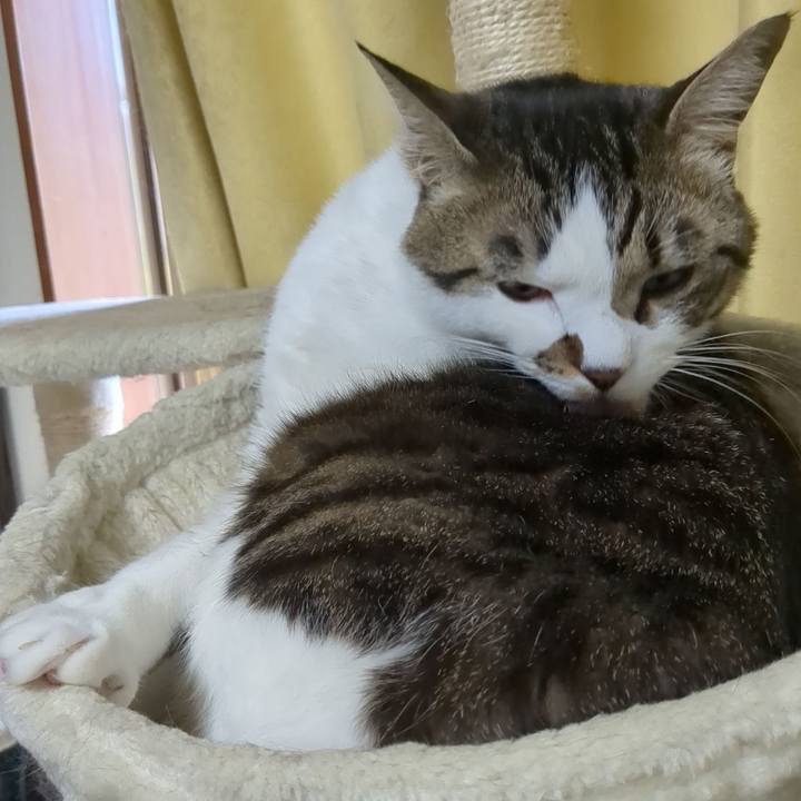 796114e6 df0a 4e53 9bfd 83a10d6e0bc3 1681264731640