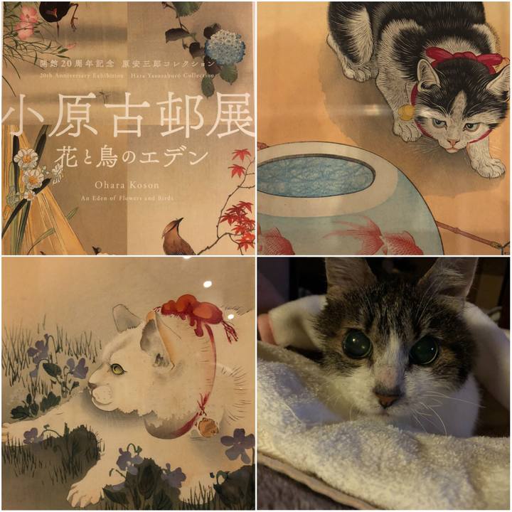 796142dd a13d 4f36 86d2 820c1402aaf6 1539507142599