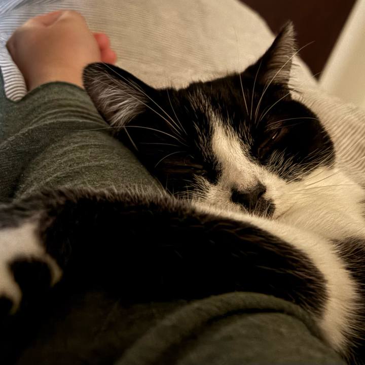 796161d7 4f4f 4595 8c98 84e236e5ebd6 1765610488589