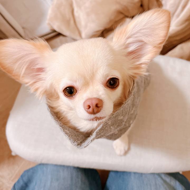 79618467 68b6 4586 a20b f4f79bcc5047 1670422439655