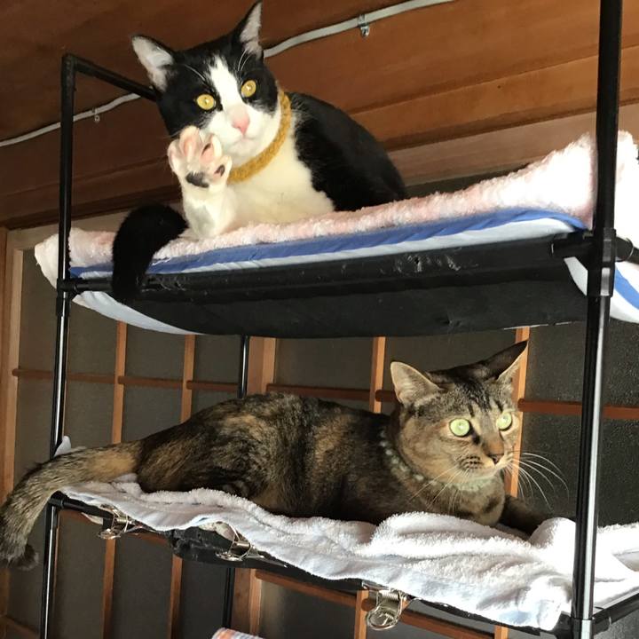 7961865a 7879 417c 8ca2 a4a563aa780d 1645588429204