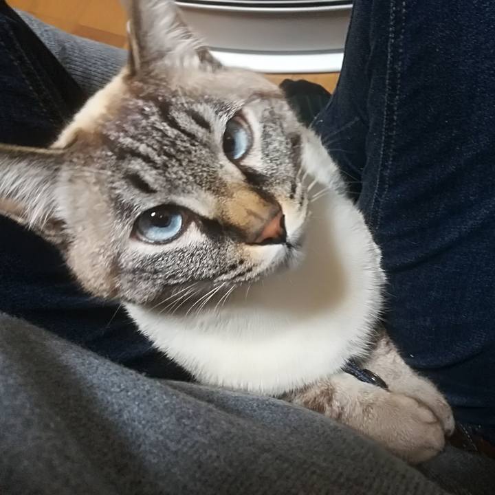 7961a14f 664c 4b8a 8b29 4a8bc4be9b49 1517670213716