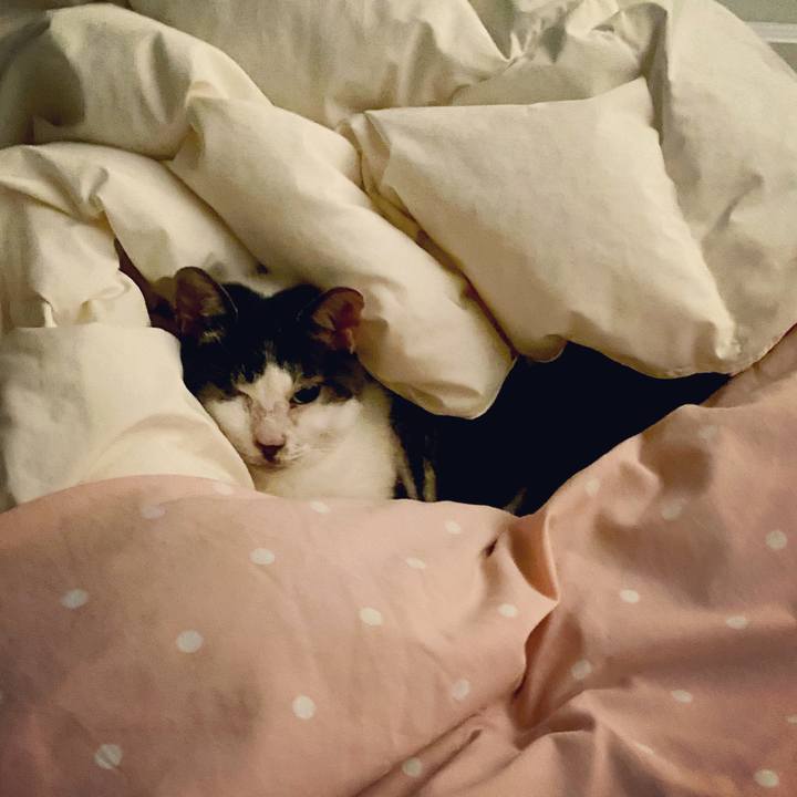 7961c6d9 abb5 4985 b00f a9179c7c2e35 1593959674424