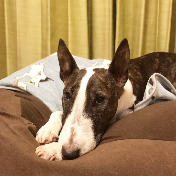 7961d0c0 c520 45ef 8c92 9263e58b5171 1508582154548