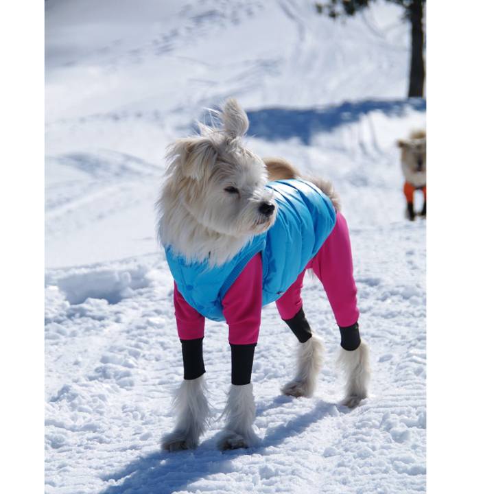 7961ddd9 d911 43db 88a9 7aad229a634f 1547816174088