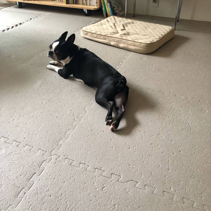 7961f232 dfd1 4aea bd0f a88488e603a2 1685081818877