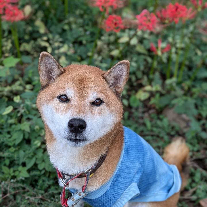 79620356 969c 4fa5 925c 6d9213d85f3b 1727705196285