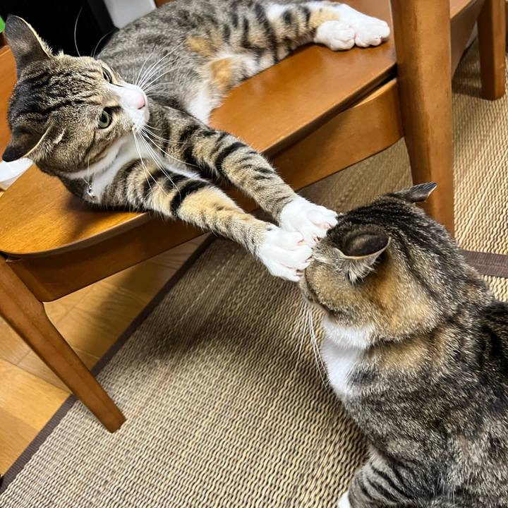 79622e1e d18e 46b7 9828 9a6de6235550 1726670074318