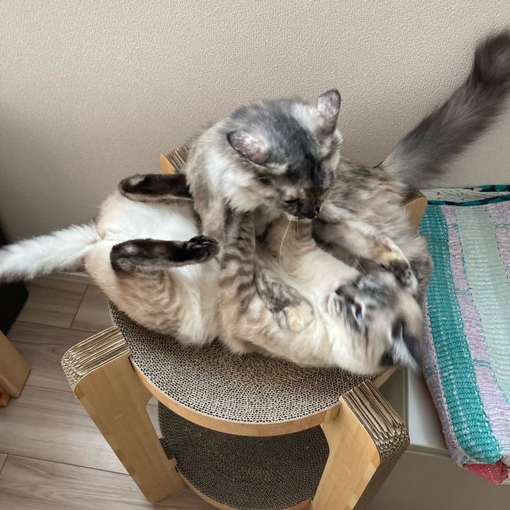 79622f99 d648 4c7e b7fe b2b7fea33695 1718424845040