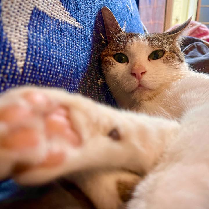 796230c6 251f 4938 b676 397d6a8b913a 1626861662874