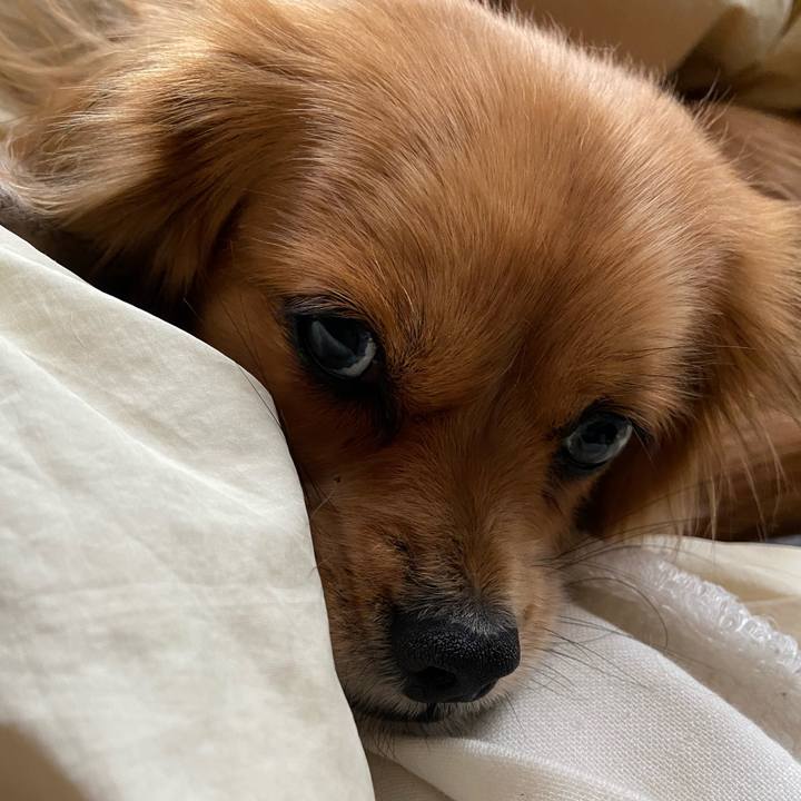 7962734b 5e85 40b1 92b0 14c5ff92ef98 1578793258082