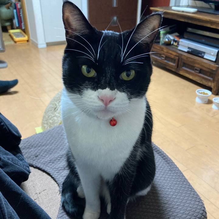 79629183 9fc0 479b b5fe 0bd113dc0ad0 1671958189421