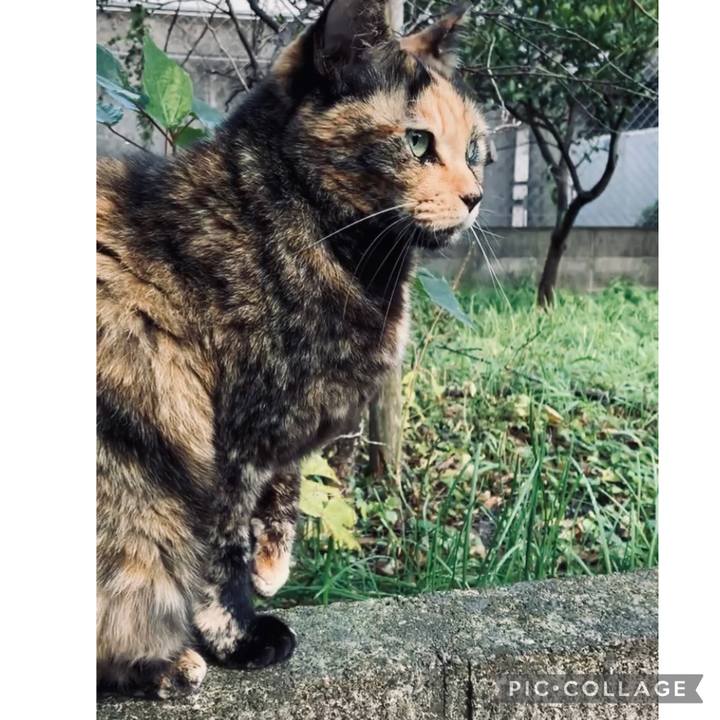 7962c2db 3179 459b 9b8c 172a3c2f56a9 1733108588306