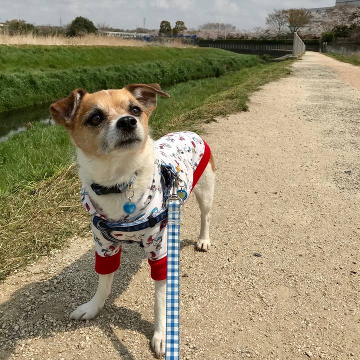 7962d336 9042 4bd9 9528 e9a4da49f9ea 1554631246618