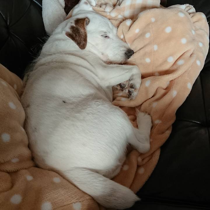 7962d83b 84b8 41f3 aea0 9842c7cdb330 1573687404879