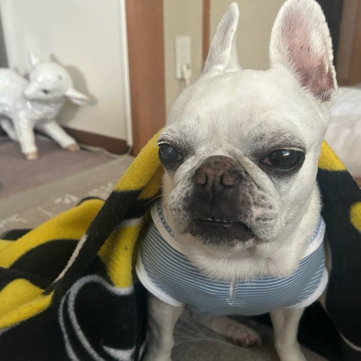 7962f1c3 73d8 4568 9e6c 0f5a5722c948 1748658925937