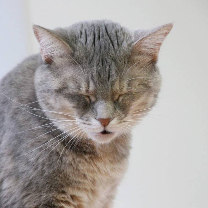 7963074b c626 437d 92b3 b050437a3fda 1536220952286