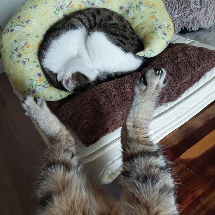 79630f95 8b2b 43bd 81ed ac0e44c131ee 1771301702895