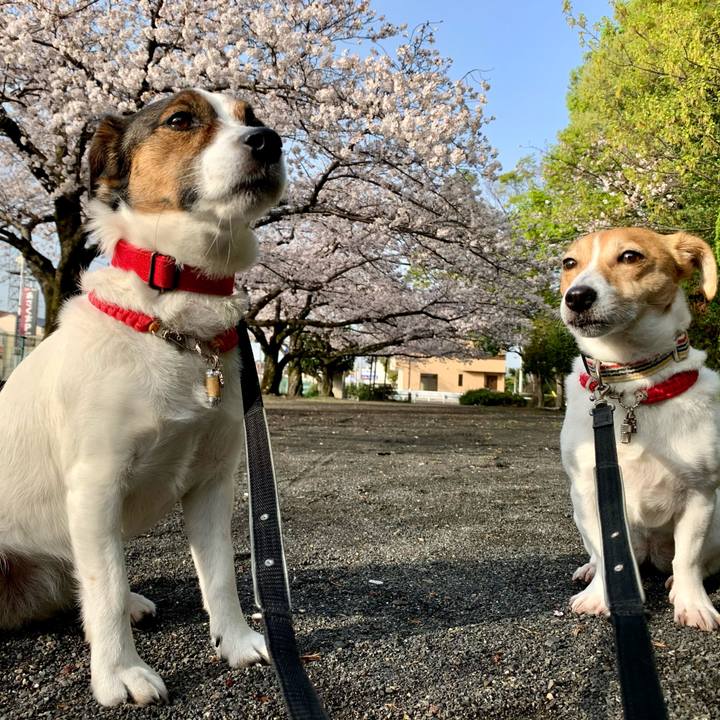 79631d3e 48b7 4b59 a17a c41b03f57277 1617090431391