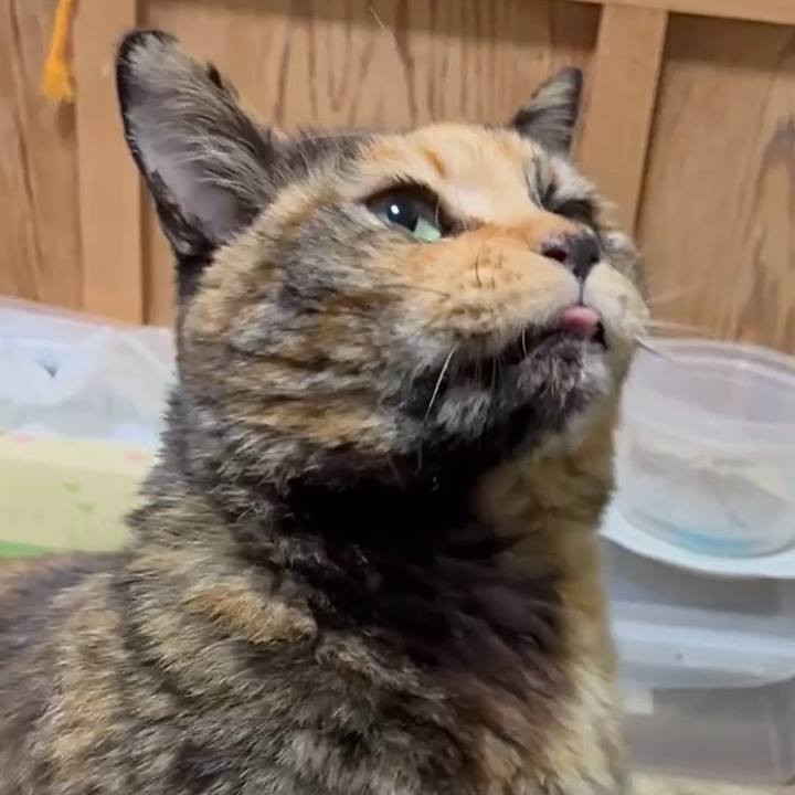 796365c7 ad0f 4056 a377 11c2e9f5a459 1770323239203