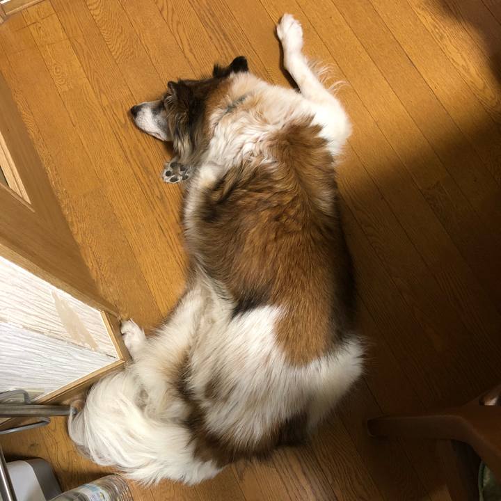 7963edb1 4a7b 4dba b7de 621e4fc21c53 1516963680660