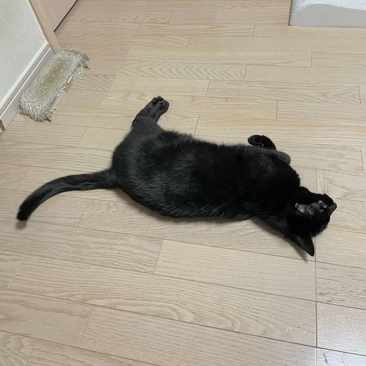 796400a8 1d8f 4dfd a761 acc6a7d940e1 1650801964248