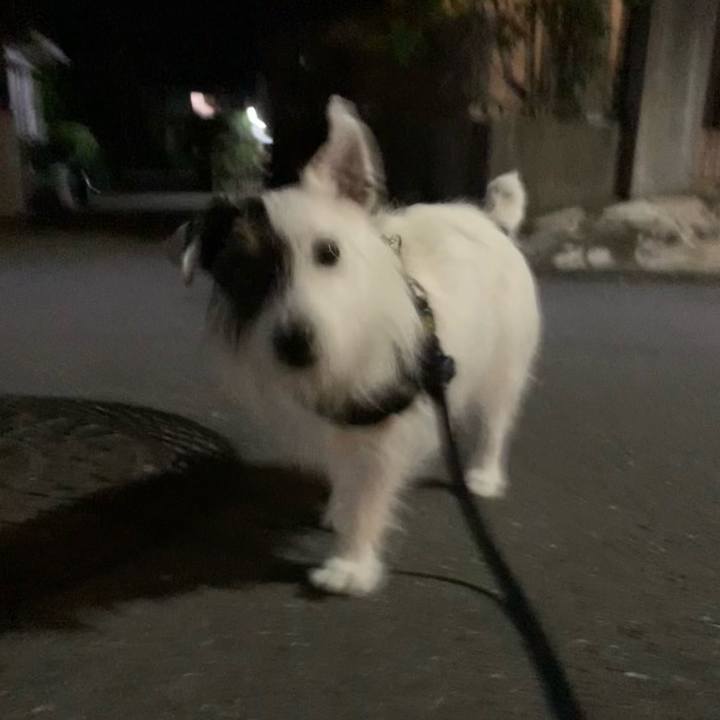 796404d2 9016 469a ab69 16be05b32734 1753532885487