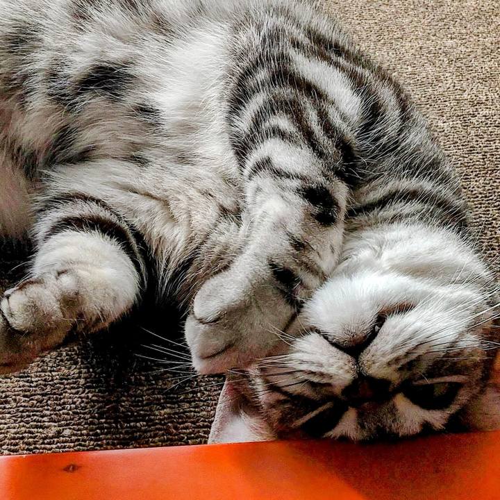 79640649 0d05 43e4 b760 79f02cdb0235 1661123330463