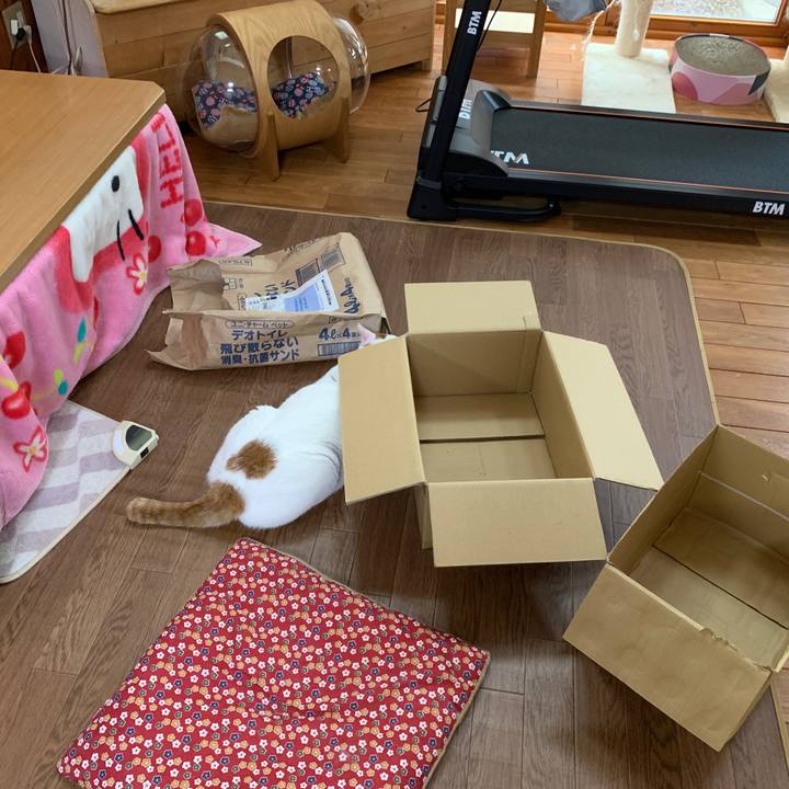 79640bd3 a3d4 499f aeea 5a88bceaaba7 1649799965159