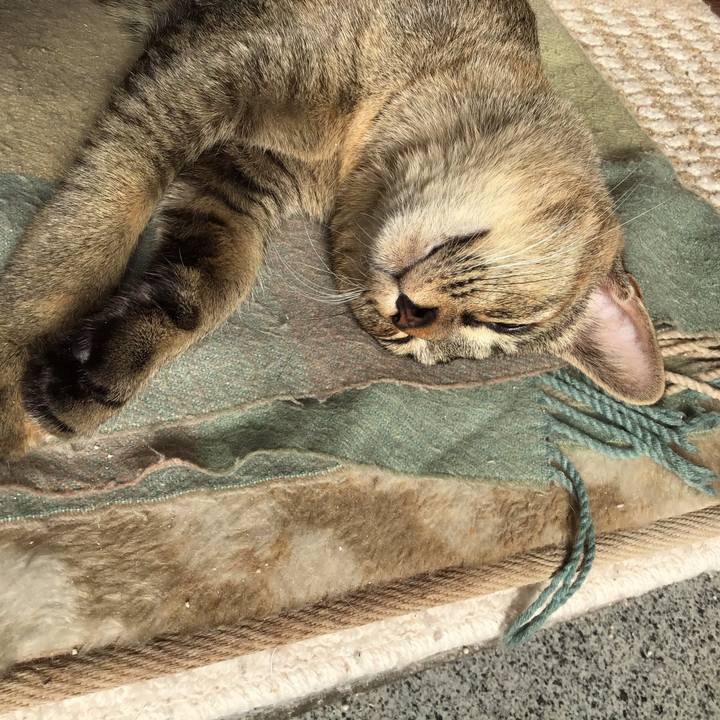 796431f9 7e69 4acb 813e de5a37988fa8 1576122638821