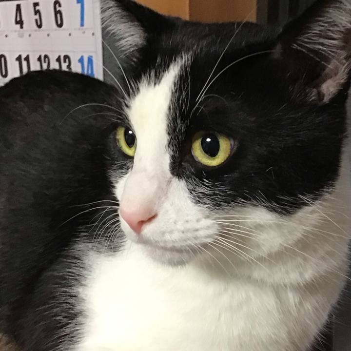 796458c5 90e1 41f7 8c01 df6536c414ae 1727510136551