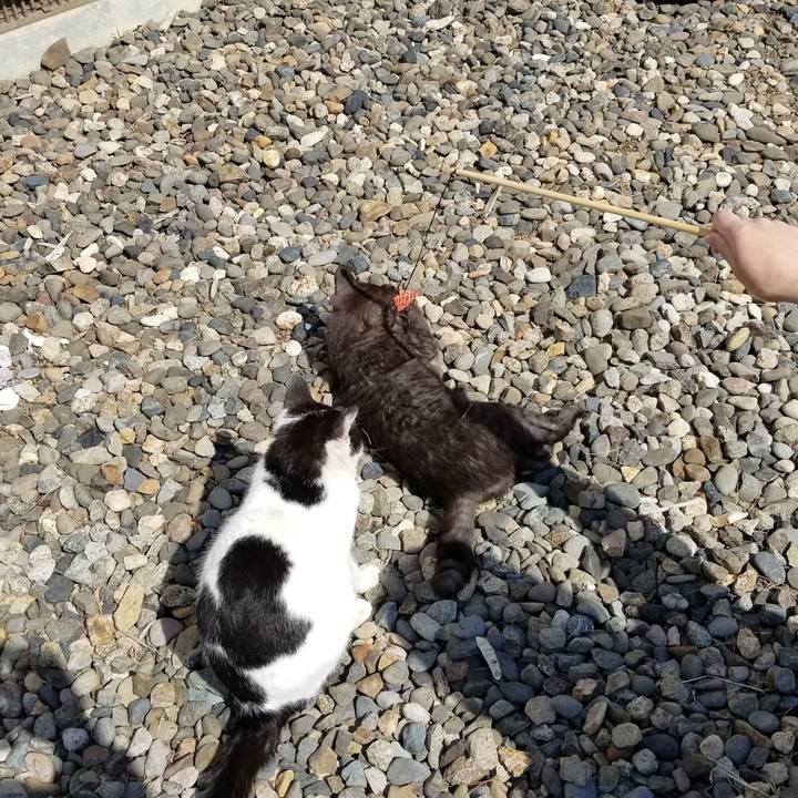 796459ac 5264 4cc0 9604 e77a5d28f8fe 1585976318732