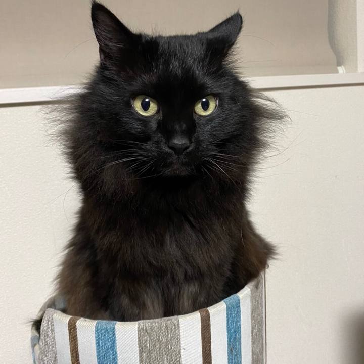 7964ded4 6a80 43ee a144 12397a2e2b20 1581672352248