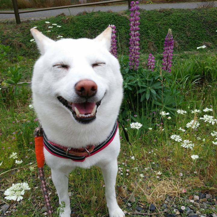 79651f4d 4b2f 44a2 8dd0 bf0e9be7ea38 1559273989877