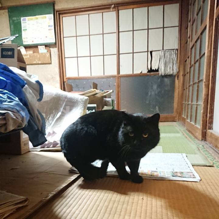 796521d2 cd4d 476a a947 95e0187e6d68 1614340216546