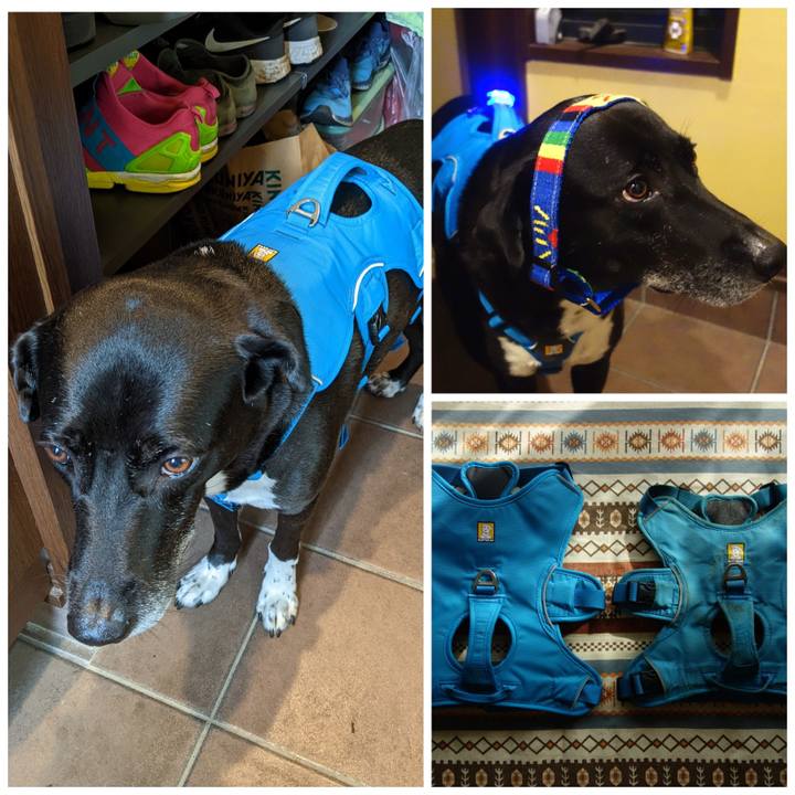 79652578 0c2c 42fc b835 4e981b341e34 1665830923030