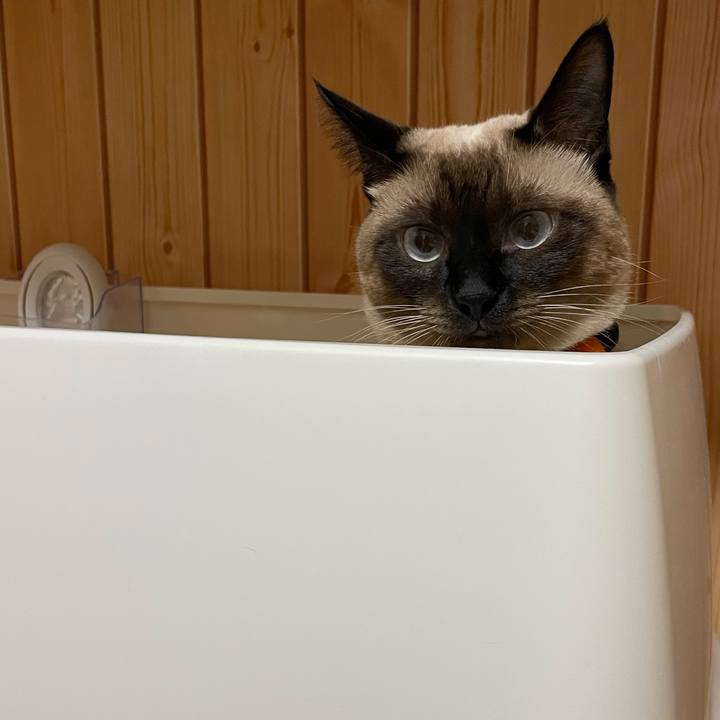 7965257a 1437 4016 99a6 977ced1ca120 1727640031654