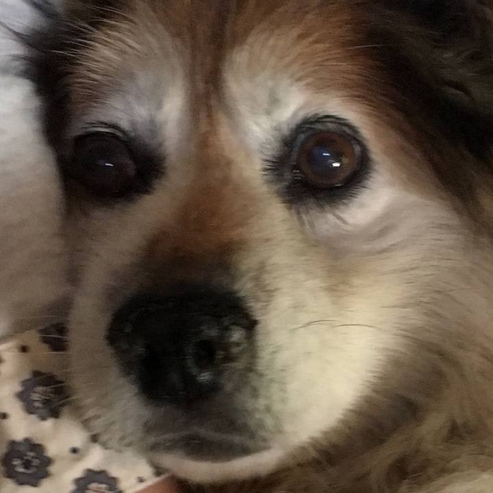 79654e7a fad6 40f0 a3cf 78574bf22271 1589073841105