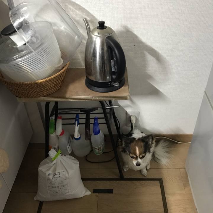 7965ce1e b99d 42b8 a9e4 f0c03af9733a 1554256391253