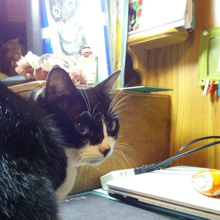 796608a5 f8ac 4d39 82a5 ef1fc70946a0 1509790950305