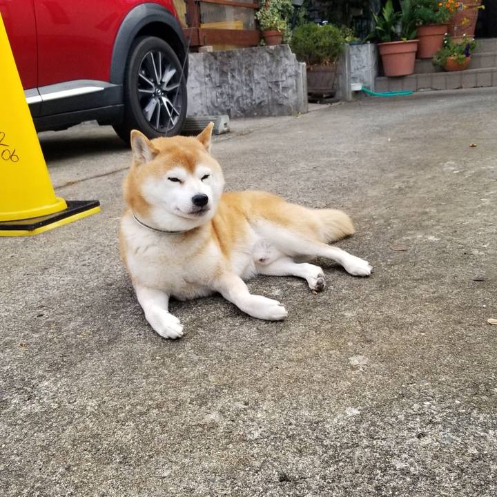 79661405 22bd 43c4 bbc0 abbe1ca689ff 1605224499468