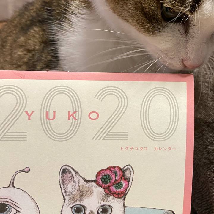 79663c26 829f 4e98 aada a06627b01d5f 1577707919097