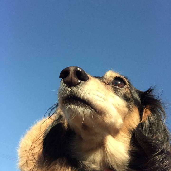 79665fc0 6c4a 471d 984a 18bcdffd3e8d 1546821751573