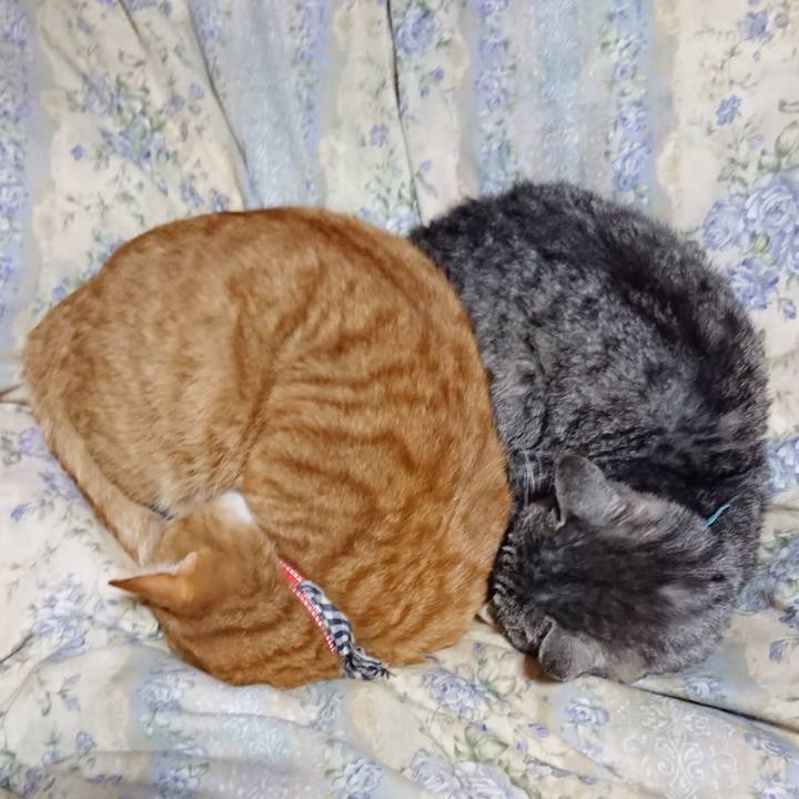 7966600e 002c 45f2 907e 96d8dd6f4238 1573386210649